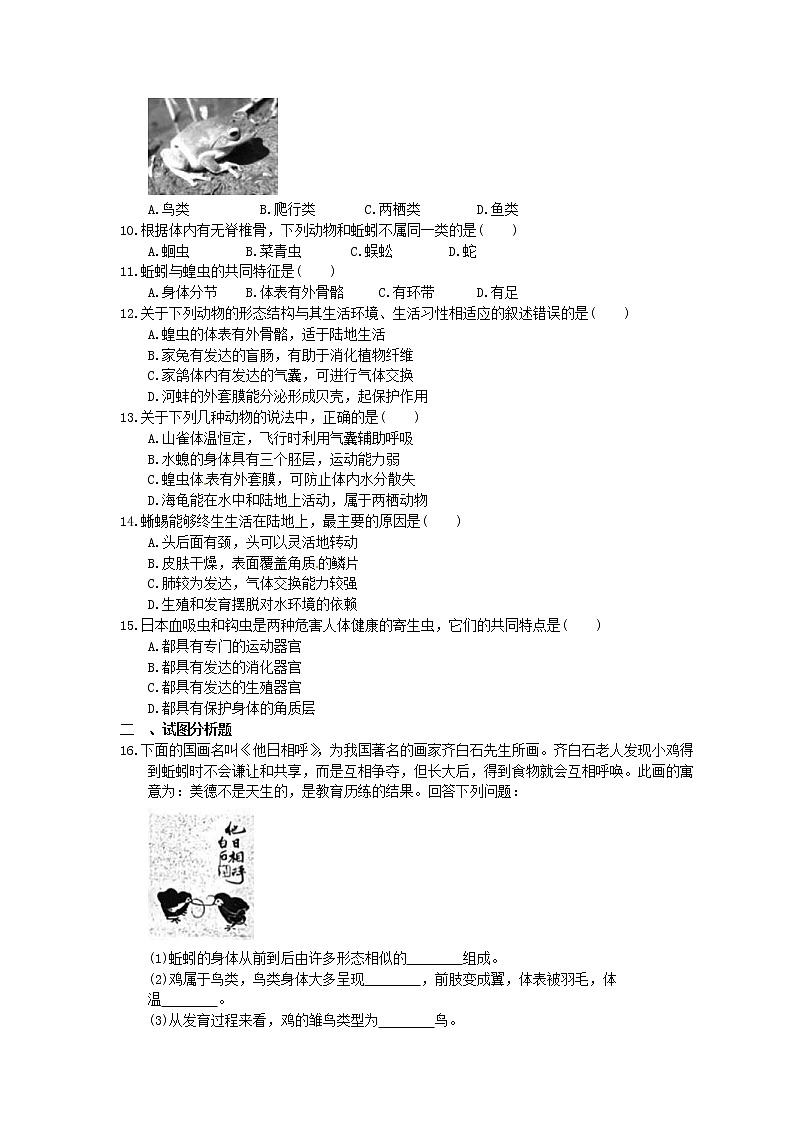 中考生物一轮复习课时作业《生物圈中的动物》（含答案）第2页