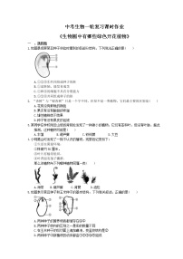 中考生物一轮复习课时作业《生物圈中有哪些绿色开花植物》（含答案）