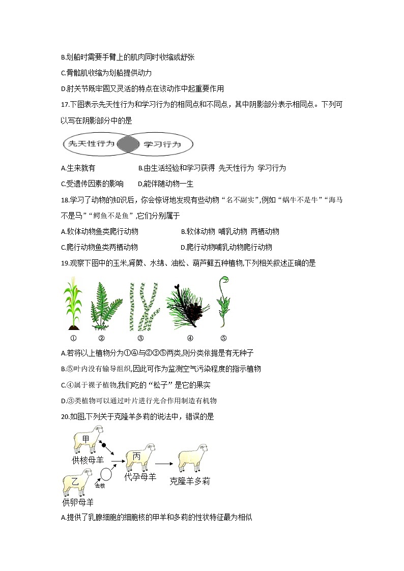 2022年湖北省恩施州八年级学生学业水平考试生物模拟试卷一(word版无答案)第3页