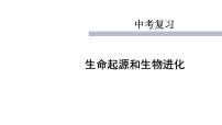 专题10生命起源和生物进化-【高效备考】2022年中考生物二轮复习精品课件