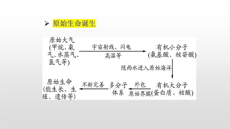 专题10生命起源和生物进化-【高效备考】2022年中考生物二轮复习精品课件第3页