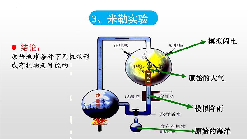 专题10生命起源和生物进化-【高效备考】2022年中考生物二轮复习精品课件第5页