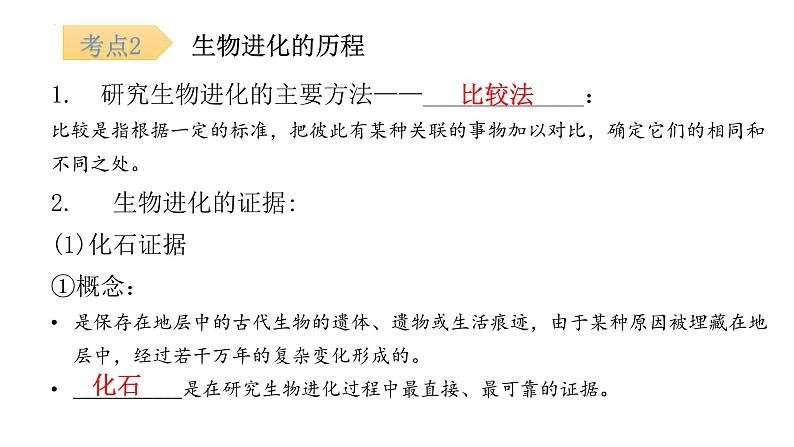 专题10生命起源和生物进化-【高效备考】2022年中考生物二轮复习精品课件第7页