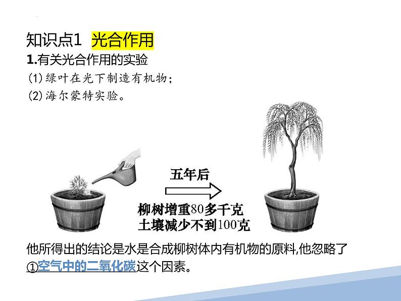 专题05绿色植物的光合作用与呼吸作用-【高效备考】2022年中考生物二轮复习精品课件第2页