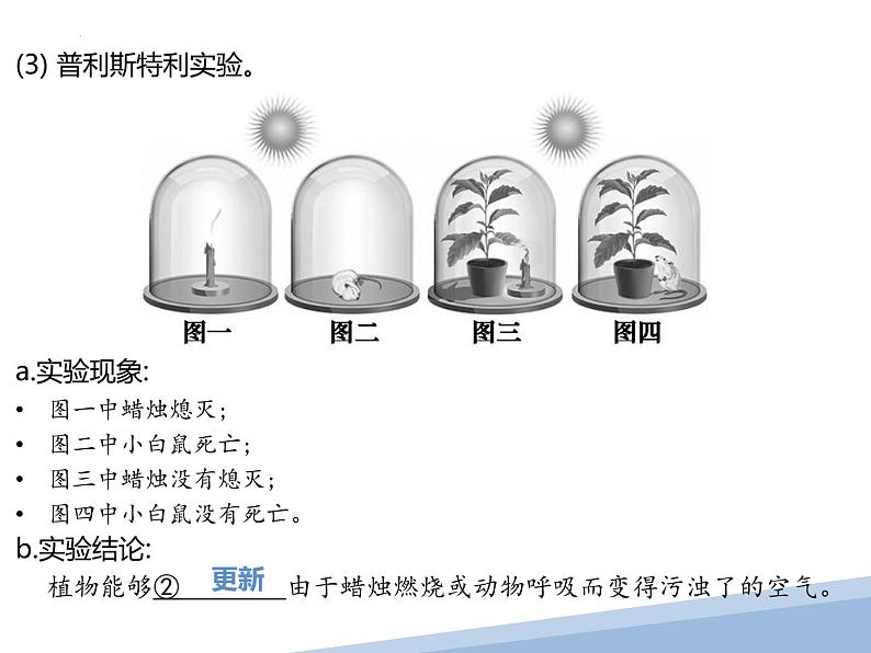 专题05绿色植物的光合作用与呼吸作用-【高效备考】2022年中考生物二轮复习精品课件第3页