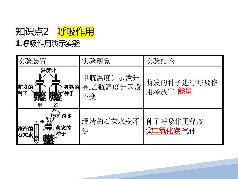 专题05绿色植物的光合作用与呼吸作用-【高效备考】2022年中考生物二轮复习精品课件第7页