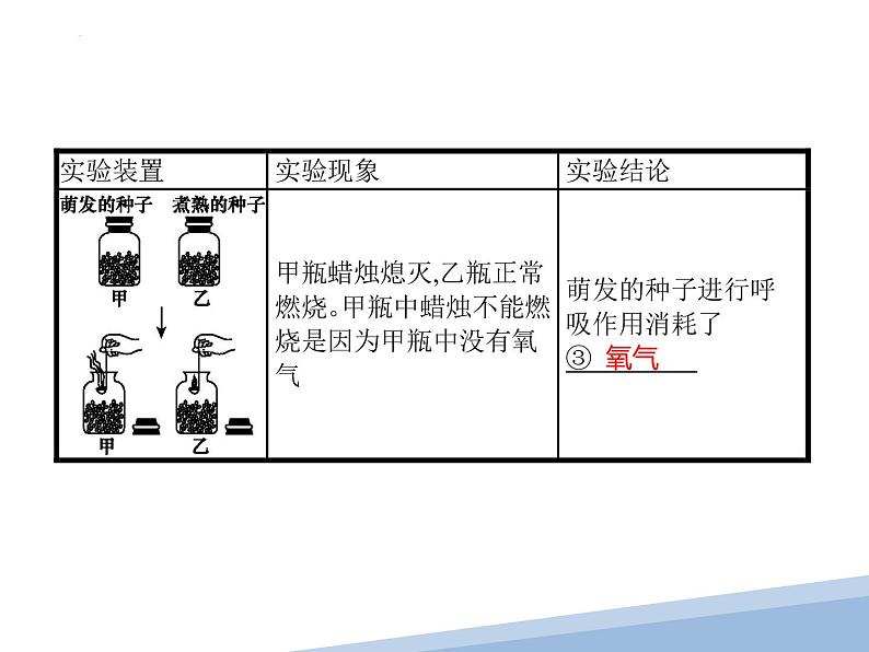 专题05绿色植物的光合作用与呼吸作用-【高效备考】2022年中考生物二轮复习精品课件第8页