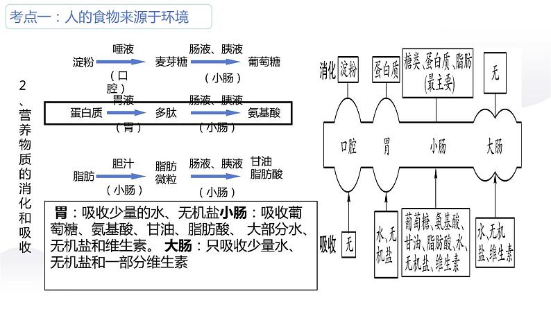 专题06生物圈中的人-【高效备考】2022年中考生物二轮复习精品课件第3页