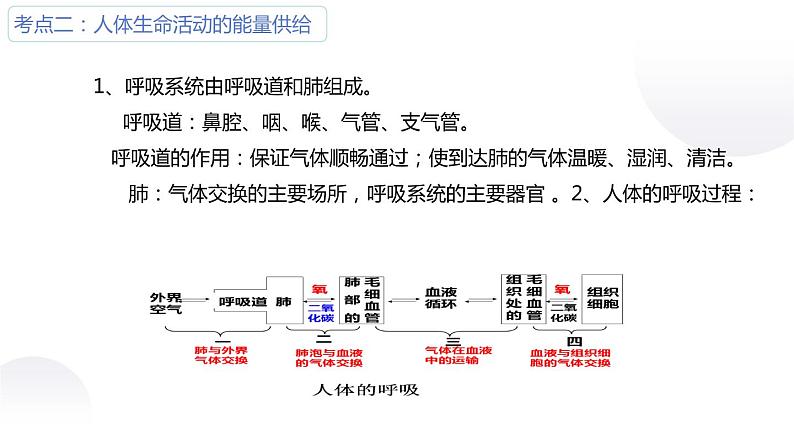 专题06生物圈中的人-【高效备考】2022年中考生物二轮复习精品课件第7页