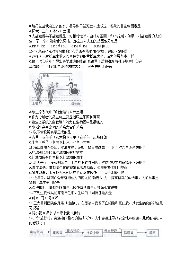 2022年海南省海口市初中毕业生学业模拟考试（一模）生物试题(word版含答案)02
