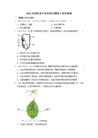 2022年湖北省中考生物二轮专题练3-绿色植物