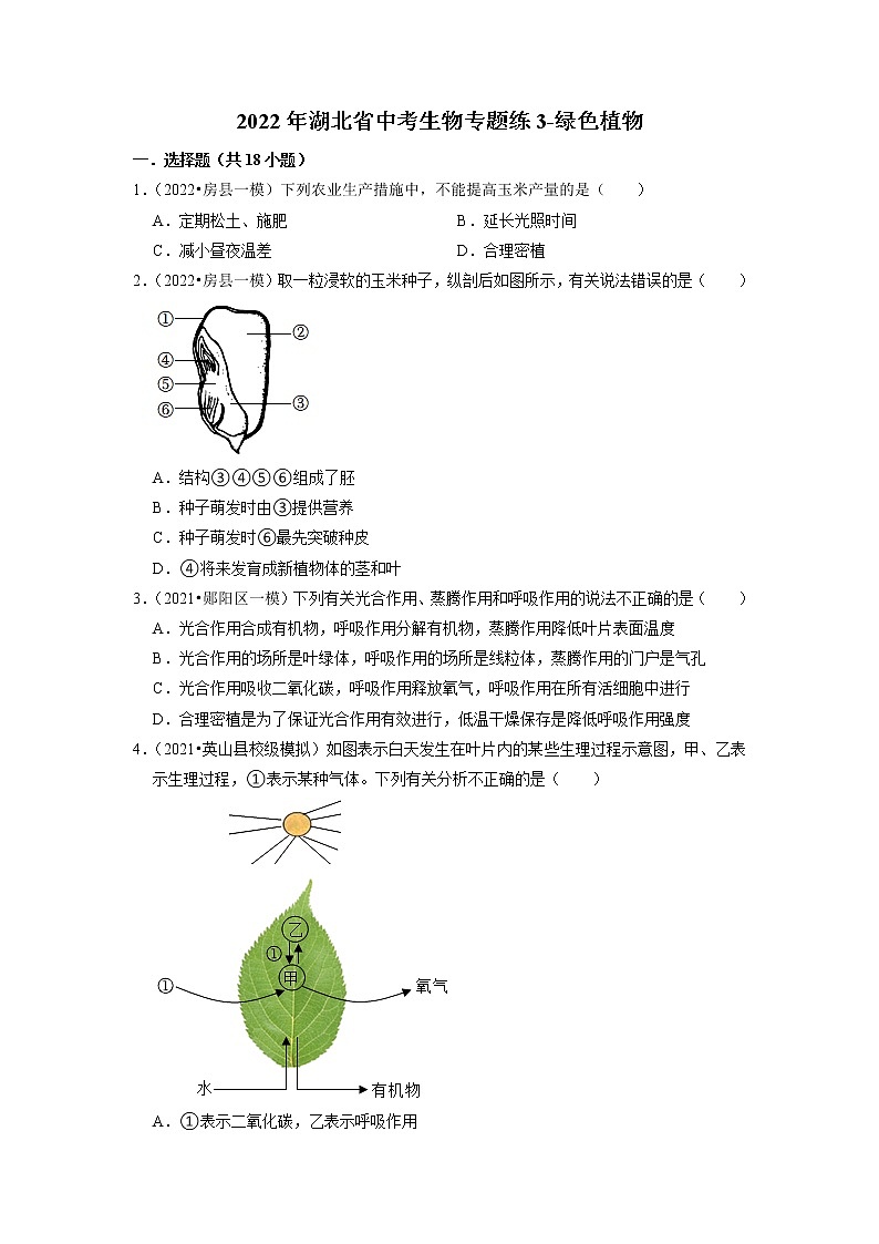 2022年湖北省中考生物二轮专题练3-绿色植物第1页