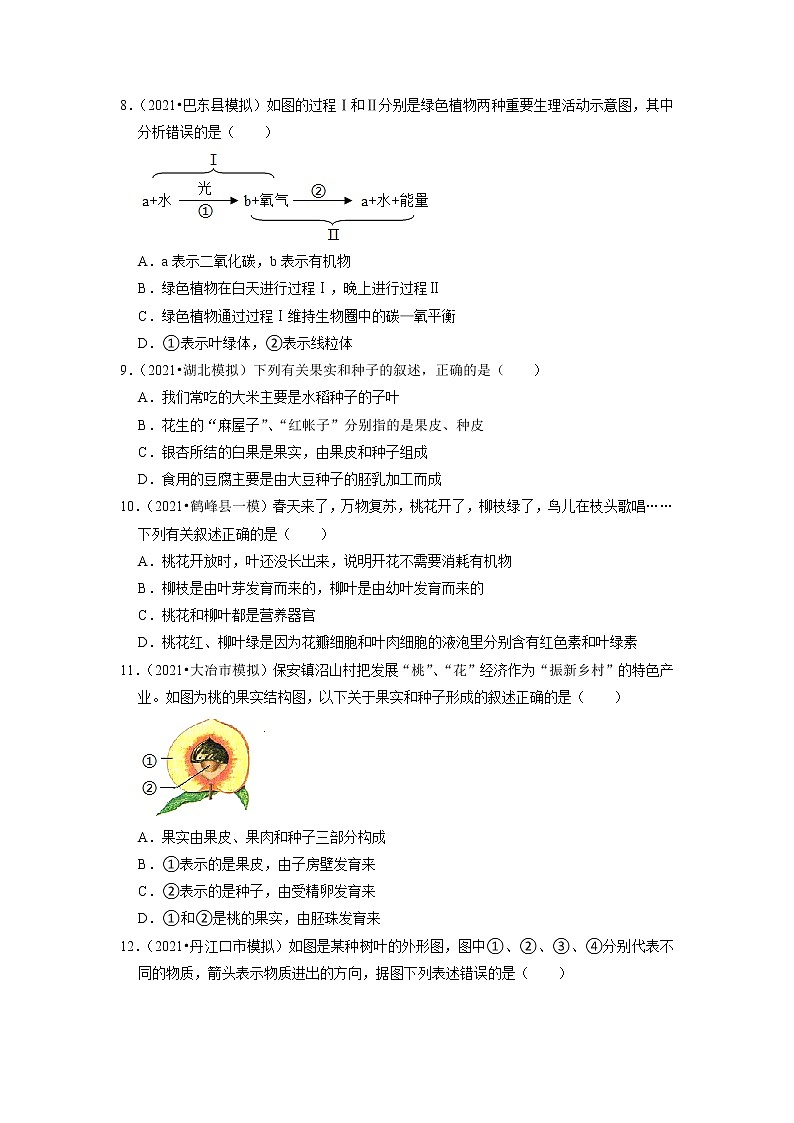 2022年湖北省中考生物二轮专题练3-绿色植物第3页