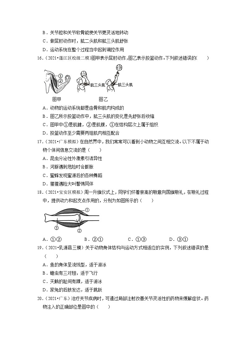2022年广东省中考生物二轮专题练5-动物的运动与行为03