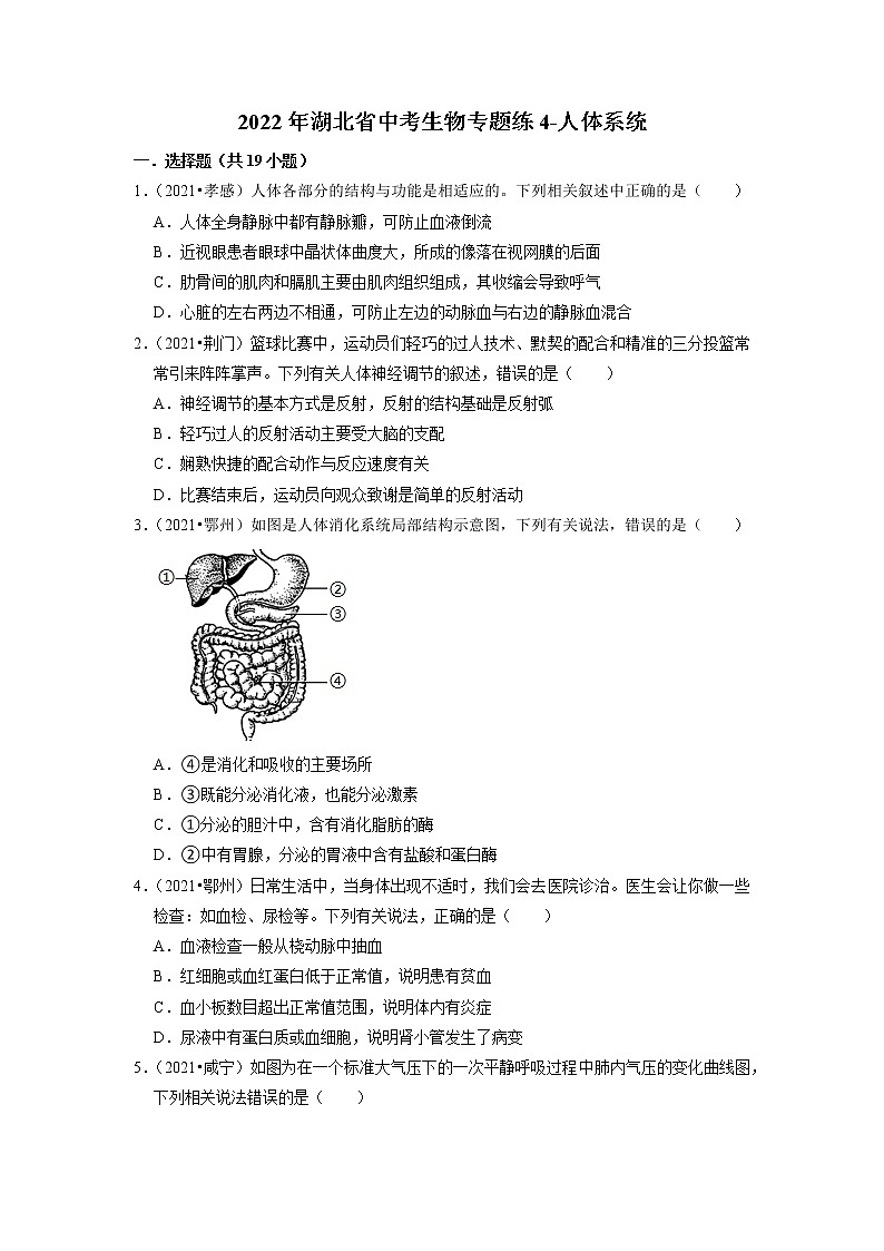 2022年湖北省中考生物二轮专题练4-人体系统01
