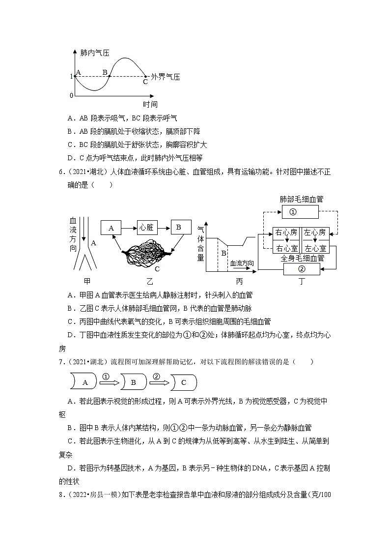 2022年湖北省中考生物二轮专题练4-人体系统02