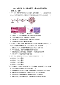 2022年湖北省中考生物二轮专题练1-生命体的结构层次