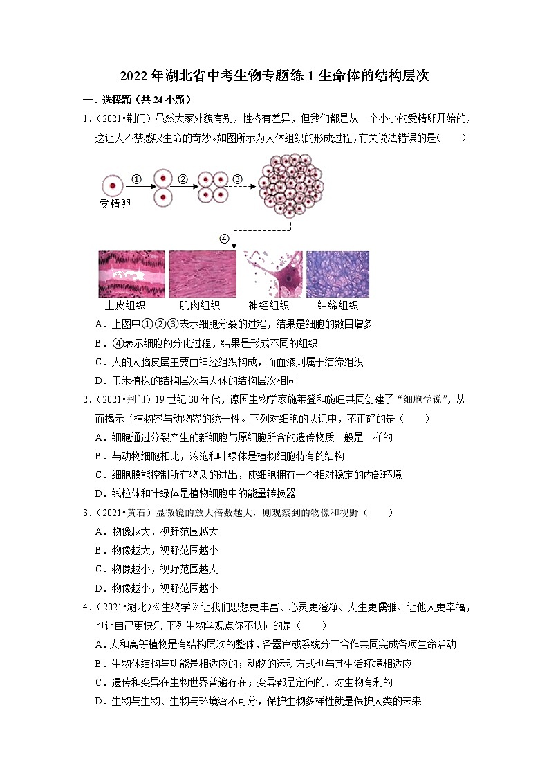 2022年湖北省中考生物二轮专题练1-生命体的结构层次01