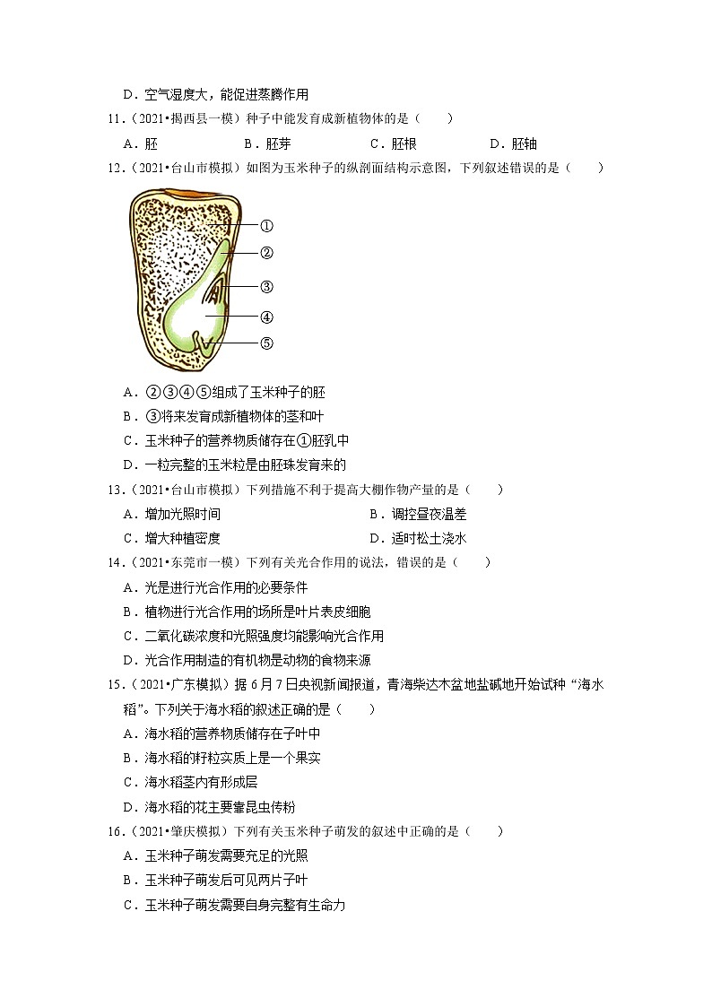2022年广东省中考生物二轮专题练3-绿色植物第3页