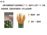 4.6.3神经调节的基本方式课件PPT