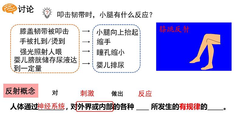 4.6.3神经调节的基本方式课件PPT04