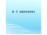 济南版七年级下册生物 4.1尿液的形成和排出 课件