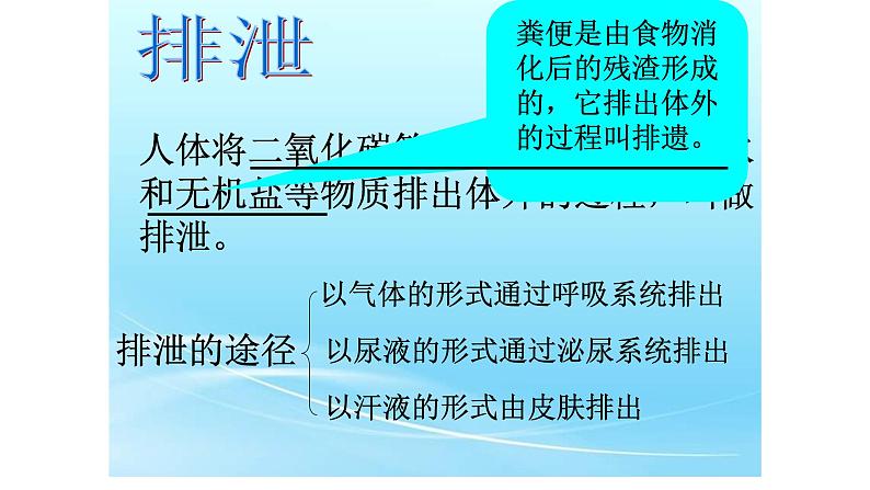 济南版七年级下册生物 4.1尿液的形成和排出 课件第2页