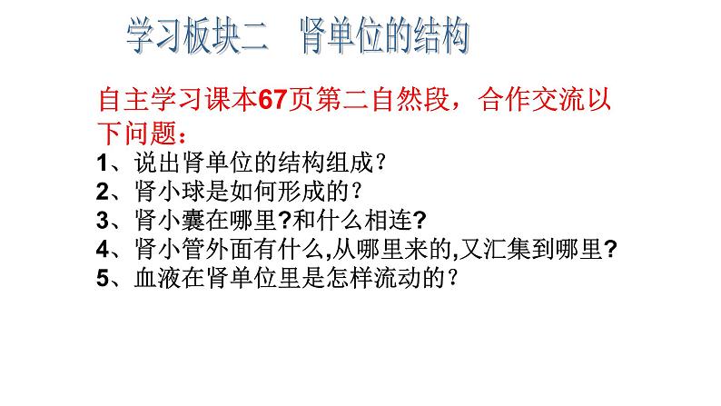 济南版七年级下册生物 4.1尿液的形成和排出 课件第6页