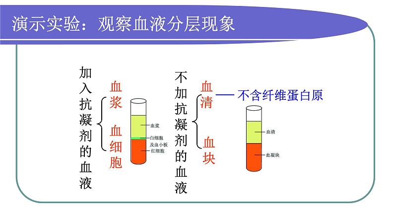 济南版七年级下册生物 3.1物质运输的载体 课件第3页