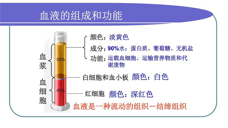 济南版七年级下册生物 3.1物质运输的载体 课件第4页