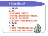 济南版七年级下册生物 3.1物质运输的载体 课件