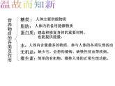 济南版七年级下册生物 1.2消化和吸收 课件