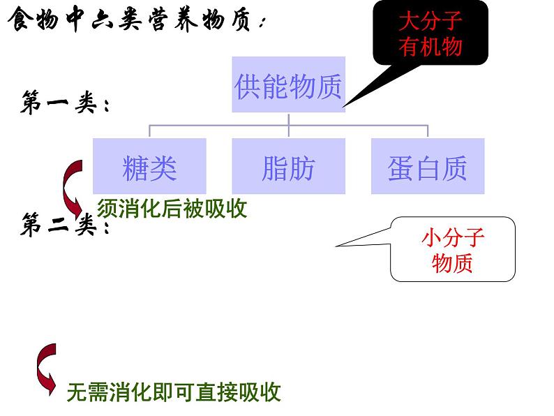 济南版七年级下册生物 1.2消化和吸收 课件04