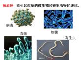 济南版七年级下册生物 6.1人体的免疫功能 课件