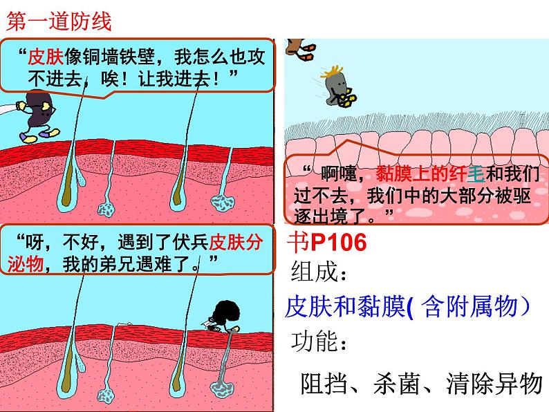 济南版七年级下册生物 6.1人体的免疫功能 课件第6页