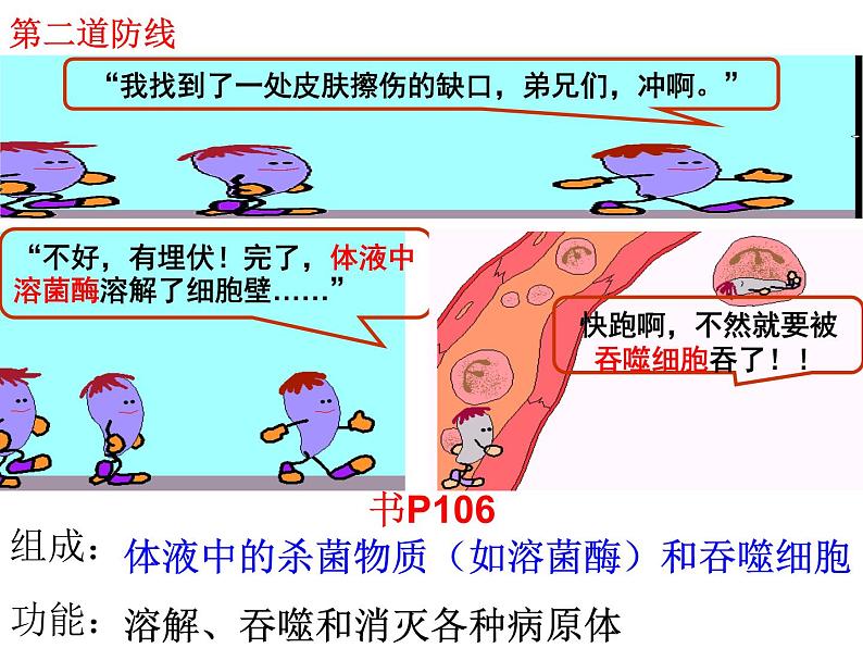 济南版七年级下册生物 6.1人体的免疫功能 课件第7页