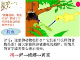 济南社八年级下册生物  6.2.2食物链和食物网 课件