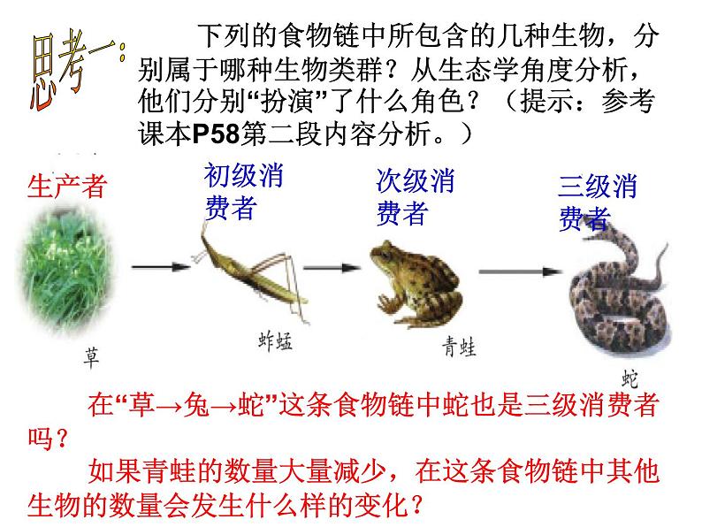 济南社八年级下册生物  6.2.2食物链和食物网 课件07