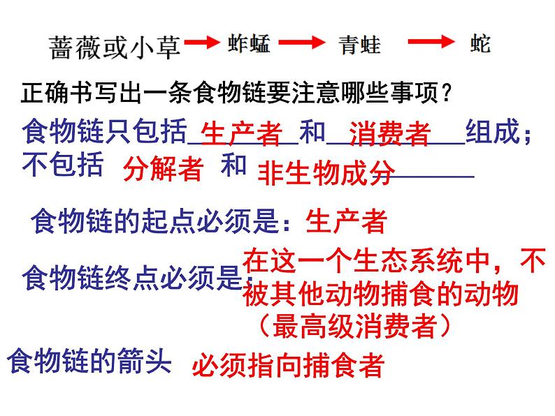 济南社八年级下册生物  6.2.2食物链和食物网 课件07