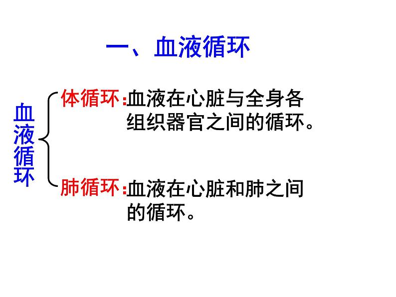 冀教版七年级下册生物 2.3物质运输的路线 课件04