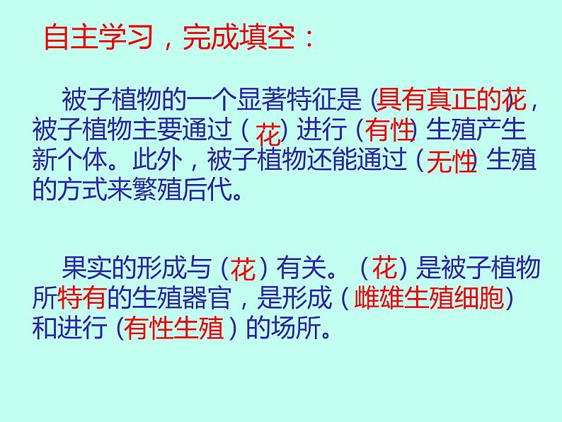 冀教版八年级下册生物  6.1.1被子植物的生殖  课件03
