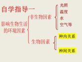 冀教版八年级下册生物  7.1.1环境对生物的影响 课件