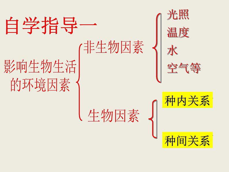 冀教版八年级下册生物  7.1.1环境对生物的影响 课件04