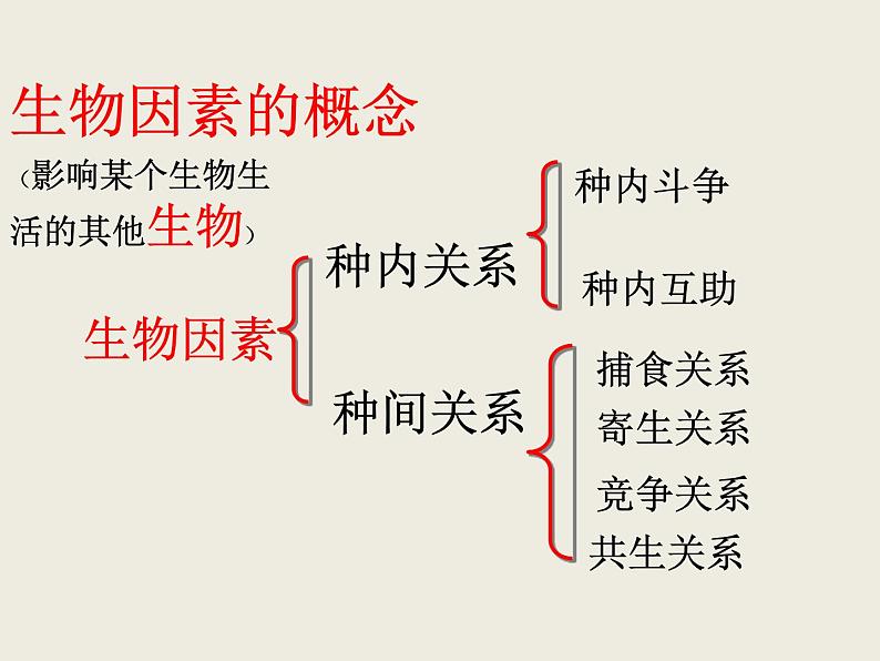 冀教版八年级下册生物  7.1.1环境对生物的影响 课件05