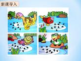 冀教版八年级下册生物  6.1.2动物的生殖和发育 课件