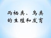 冀教版八年级下册生物  6.1.2动物的生殖和发育 课件