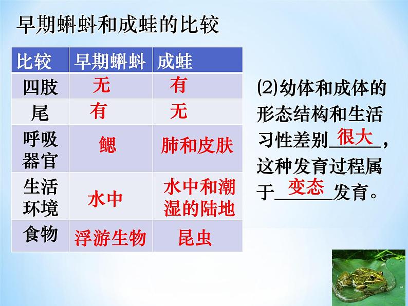 冀教版八年级下册生物  6.1.2动物的生殖和发育 课件第5页