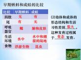 冀教版八年级下册生物  6.1.2动物的生殖和发育 课件