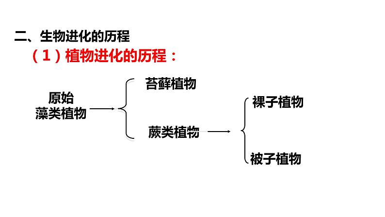 冀教版八年级下册生物  6.3.2生物的进化 课件07