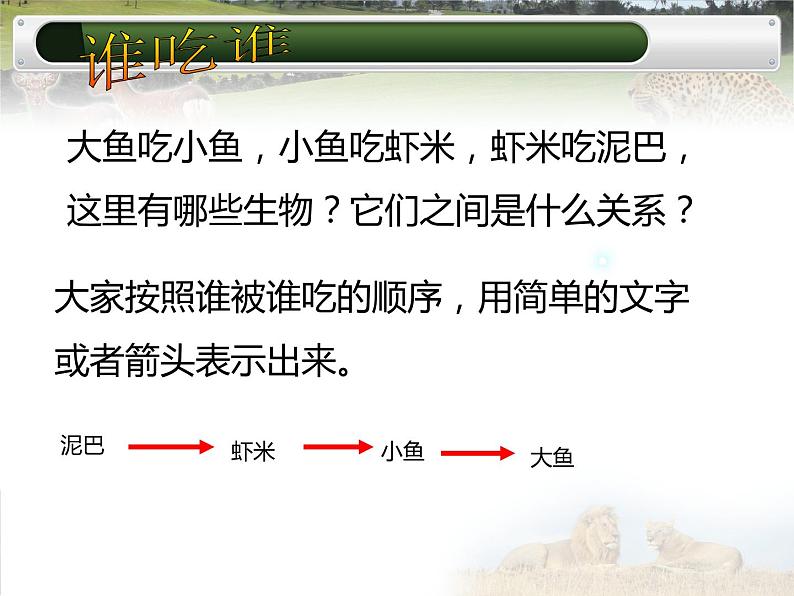 冀教版八年级下册生物  7.2.2食物链和食物网 课件第2页